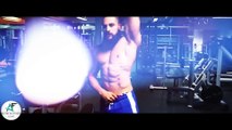 Aesthetic Beast - Bodybuilding And Fitness Motivation 2016