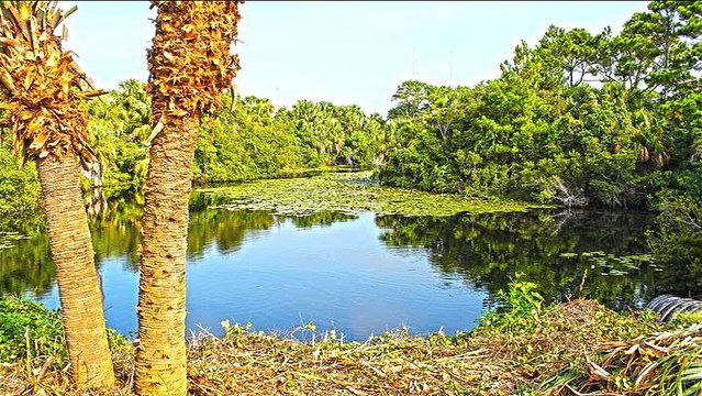 Carey Rayburn photography reel 2016