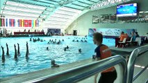 European Junior Synchronised Swimming Championships - Rjeka 2016 (4)