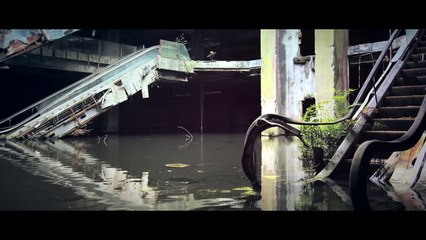 Air Action Vigorsol- Io sono Koala