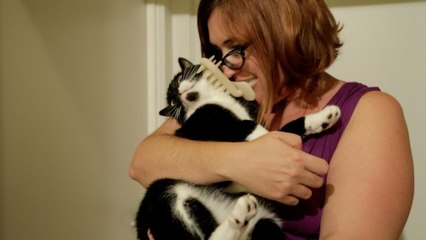 We tried some of the weirdest pet products on the Internet