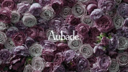 Trailer Collection AH16 / FW16 Collection