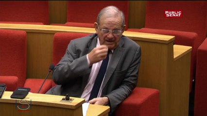 Bolloré : "Les gens ont crié au loup sur des histoires qui n’en sont pas"