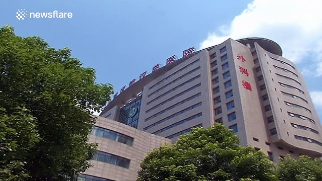 Dog owner allegedly bites pregnant woman to 'protect her dogs'