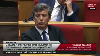 Crédit Mutuel, Médiapart, Canal : Vincent Bolloré répond à David Assouline