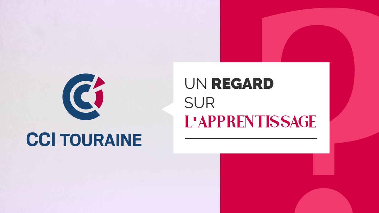 Un regard sur l'apprentissage