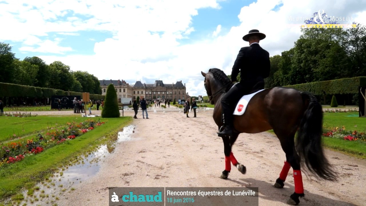 [A CHAUD] - Les rencontres équestres au château de Lunéville