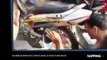 Inde : Des passants sauvent un bébé coincé dans une roue de moto (Vidéo)