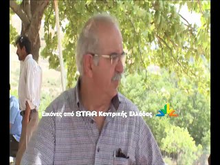 Φωτιά στο Δοκό Χαλκίδας