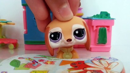 Abby ile Miniş Yemekleri (Part 1) | LPSEM miniş