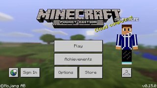Let's start a 'minecraft let's play'!