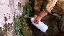 تفاقم أزمة المياه في الأراضي الفلسطينية