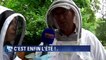 Jardin du Luxembourg: les fortes pluies ont mis en danger les récoltes de miel