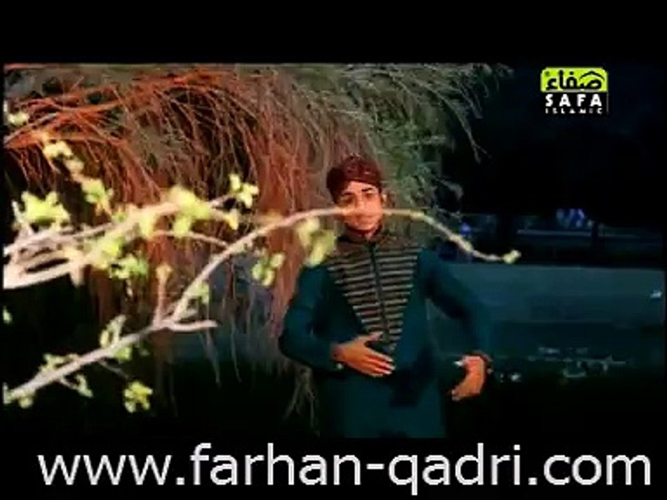 New Naat Hamd Farhan Ali Qadri, Sab rang Nein Moula tere