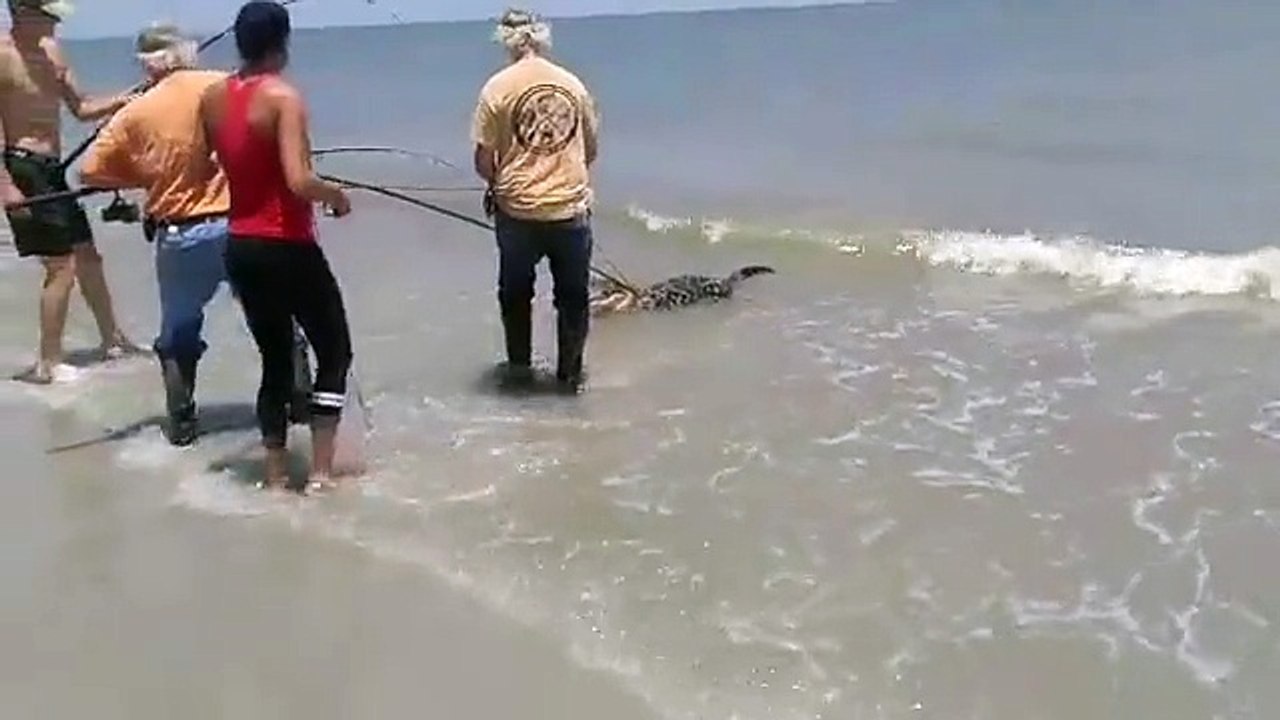 Comment pêcher un alligator