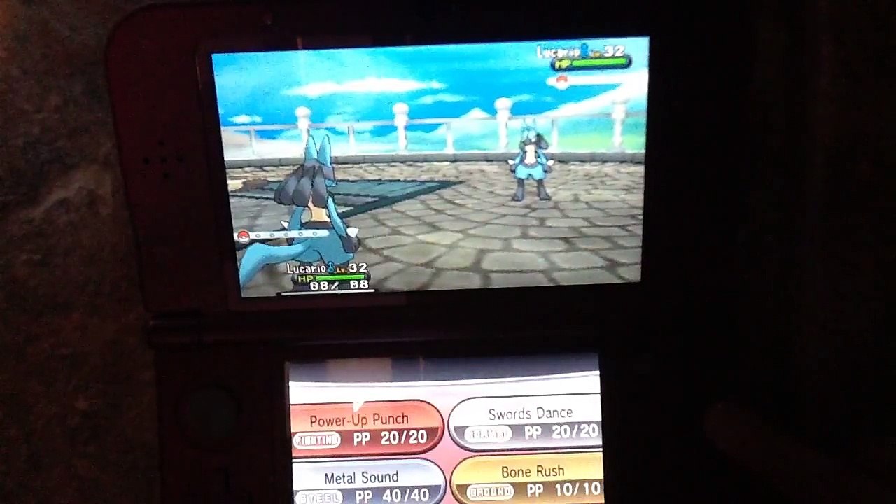 Pokemon  x and y lucaorio battle