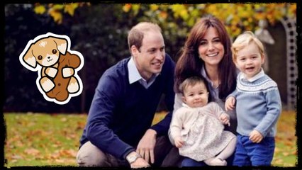 Kate Middleton et le prince William : La famille s’agrandit
