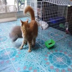 This Bunny MADE MY DAY! LOL