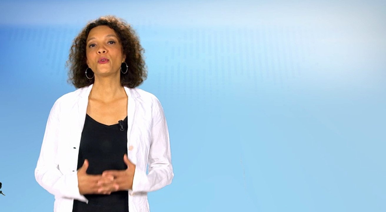 Saint-Pierre et Miquelon : la morue