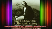 READ book  Small Is Beautiful in the 21st Century The Legacy of E F Schumacher Schumacher Full EBook