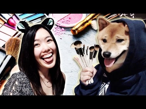Girl Allows Canine Pal to Apply Make-Up