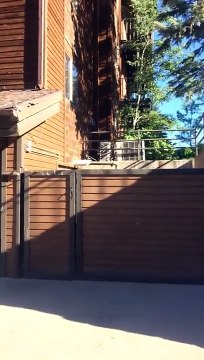 Un homme entend quelqu’un qui fouille dans ses poubelles et a une belle surprise