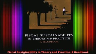 READ book  Fiscal Sustainability in Theory and Practice A Handbook Full EBook