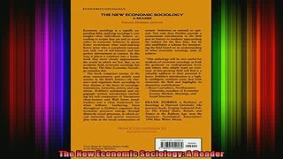 READ book  The New Economic Sociology A Reader Full EBook