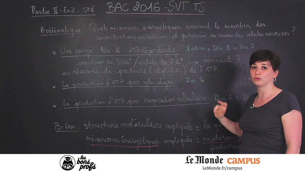 SVT TS - Corrigé de l'exercice de spécialité ...