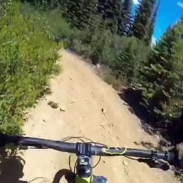 Enorme chute en VTT, balayé par un ourson en pleine descente