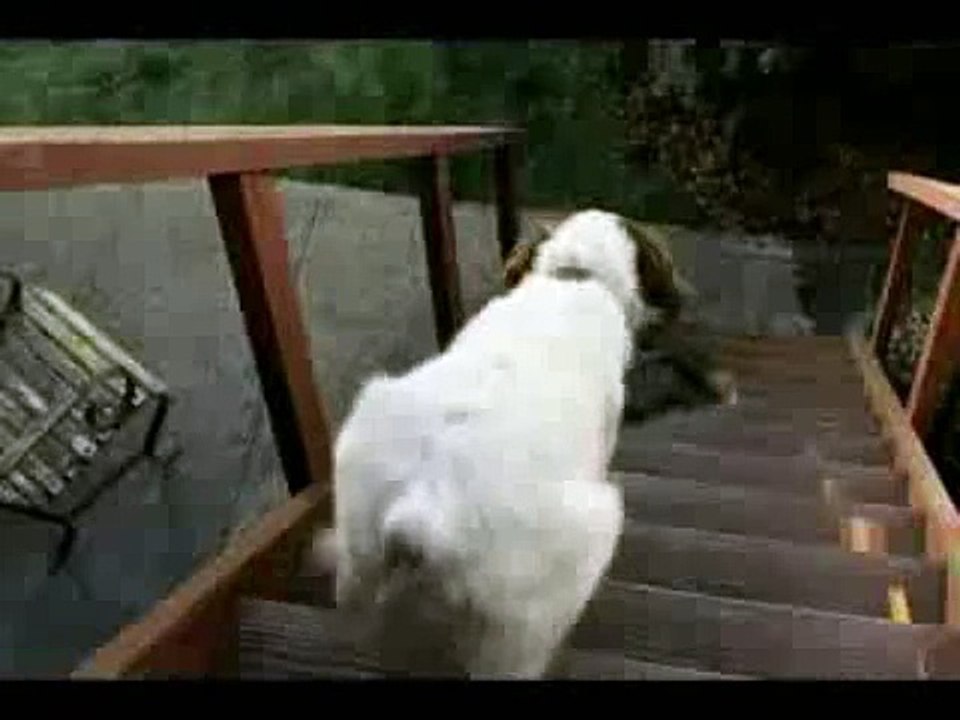 Very Funny Heineken Beer Commercial