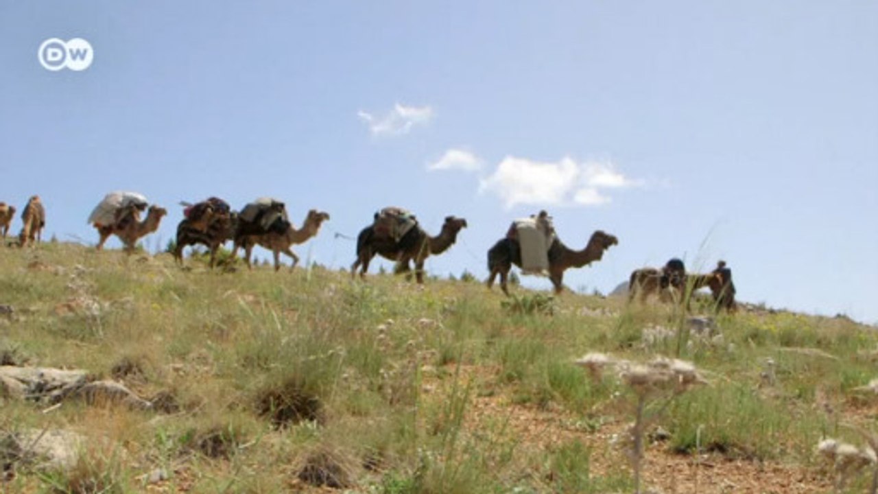 Китайский "Шелковый путь": угроза для России? (22.06.2016)