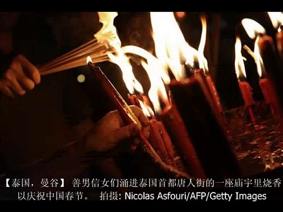 卫报图说24小时2009-01-28