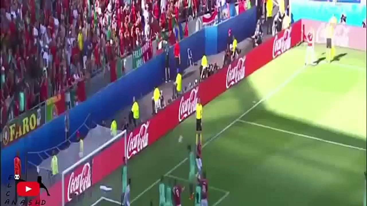اهداف مبارة البرتغال و المجر 3 - 3