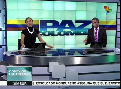 Colombia: FARC cumple 11 meses de cese unilateral de fuego