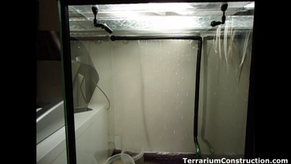 Rampe d'irrigation pour mousse de terrarium