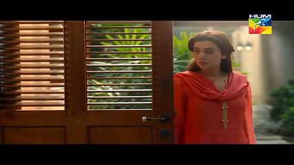 Mann Mayal Episode 22 In HD _ Pakistani Dramas Dailymotion.com HD