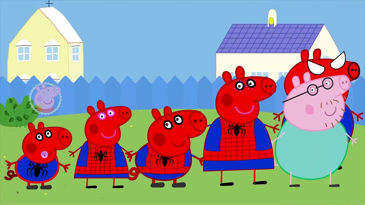 Pig Tv |      Daddy Peppa Pig and Friends Race Car Funny Story by Pig Tv