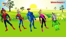 Los niños del hombre araña canción Hulk, Peppa Pig, dedo congelado Familia Collection ★ dibujos ani