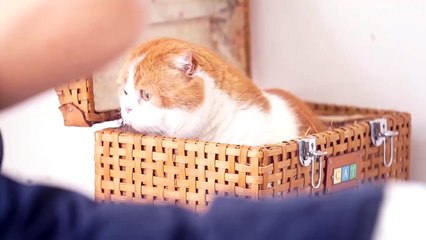 HUSTLE PRESS zero 菅井友香＆トム②