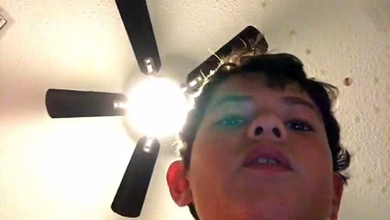 Finally peppa pig WHy VIDS WHY xxOOxx