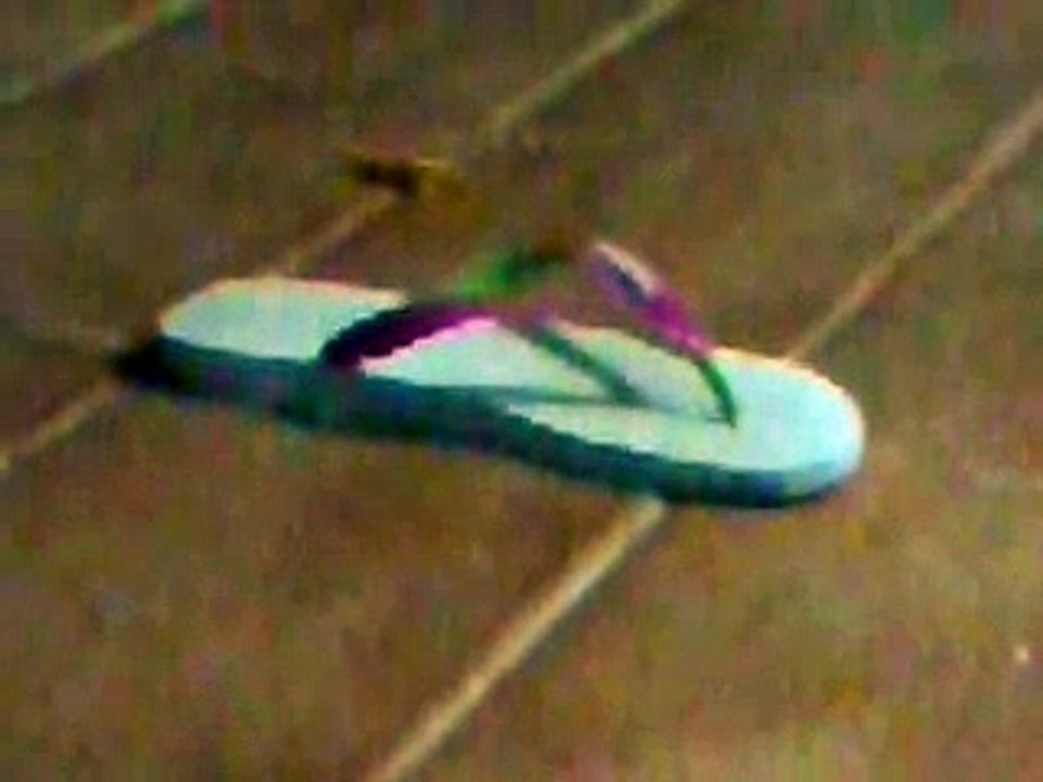 video-2011-01-23-02-43-25