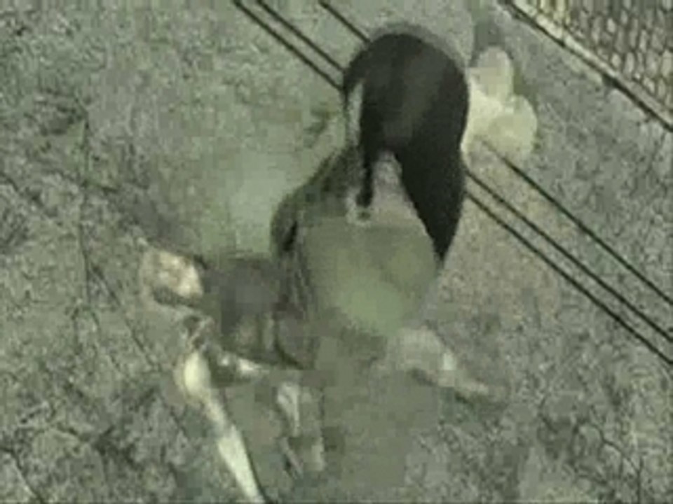 Raiden vs Vamp (New)