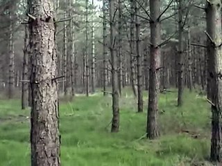 Muntjac Enduro BEC'08 9/25