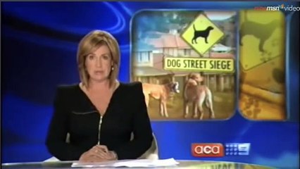 Psycho Dog Man - Original