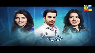 Dil E Beqarar Episode 12 Promo HUM TV Drama 22 June 2016