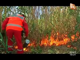 Lutte contre les incendies des voies ferrées (Aigues-Vives)
