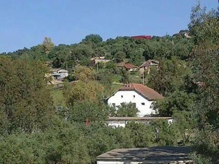 حاجي السريفي/آراولي زواجي دابا