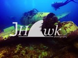 Diver Discovers Japanese WW2 Plane Underwater in Palau