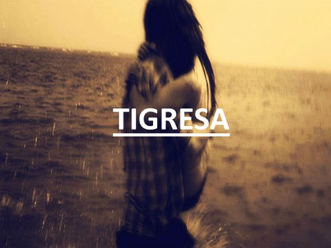 Tigresa- Jonatas Onofre